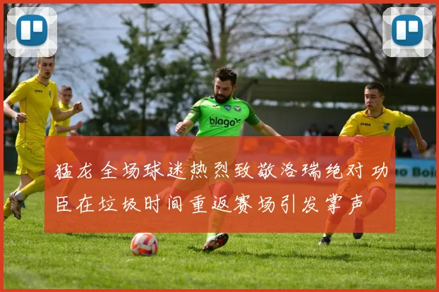 猛龙全场球迷热烈致敬洛瑞绝对功臣在垃圾时间重返赛场引发掌声