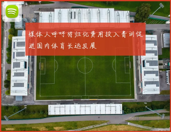 媒体人呼吁将归化费用投入青训促进国内体育长远发展