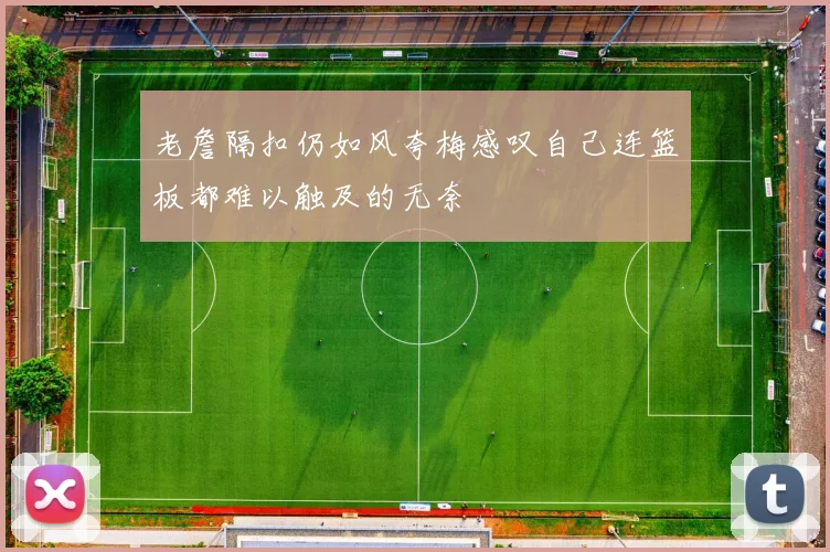 老詹隔扣仍如风夸梅感叹自己连篮板都难以触及的无奈