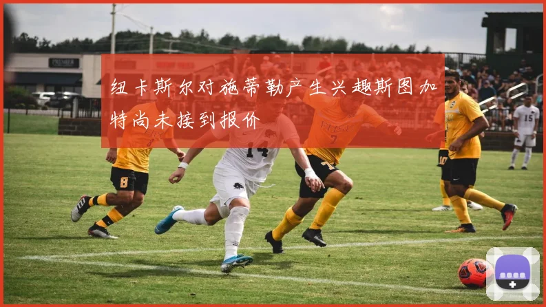 纽卡斯尔对施蒂勒产生兴趣斯图加特尚未接到报价